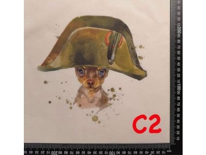 Čivava ala Napoleon