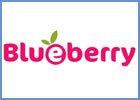 Blueberry (USA)