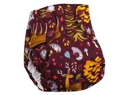 Smart Bottoms Smart One 3.1 AIO Ever After