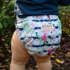 Smart Bottoms Dream Diaper 2.0 Belle Blossom