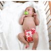BornSmart Stella2 1200x1200