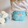 Smart Bottoms Dream Diaper 2.0 Blown Away