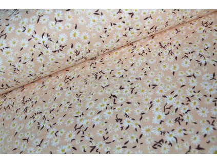 kopretiny na merunkove (3)