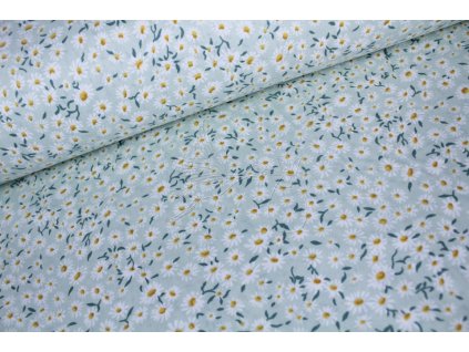 kopretiny na mint (1)