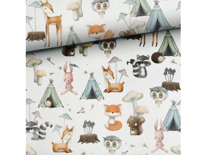 346281231 814494709533420 839301607999849051 n