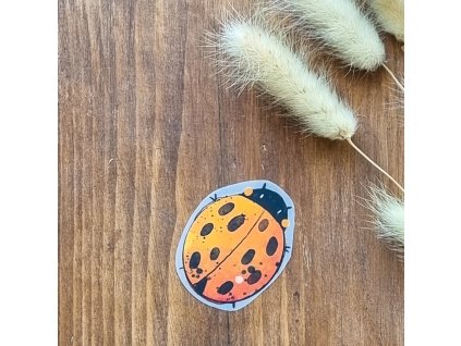 DTF Nažehlovačka BERUŠKA 5cm