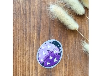 DTF Nažehlovačka BERUŠKA 5cm