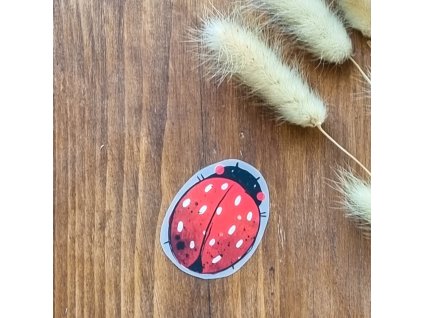 DTF Nažehlovačka BERUŠKA 5cm