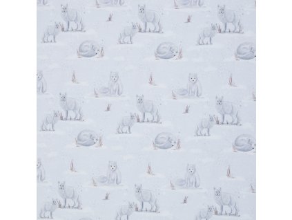 494270106 1433628887622919 8621858962664210566 n