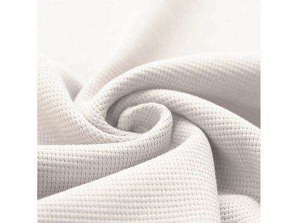 R330711 smetana JPEG