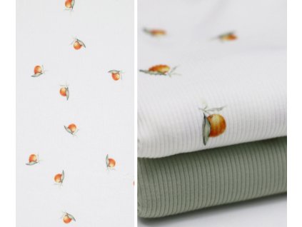 Návrh bez názvu (18)