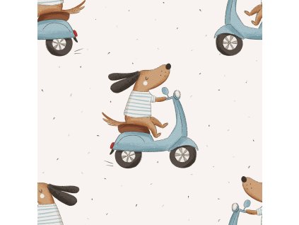 611636421 1630917481227391 535742457489908156 n