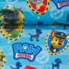 079562 pawpatrol 106842 eos