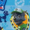 079562 pawpatrol 106842 10