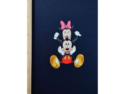 Panel Mickey a Minnie
