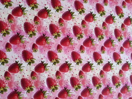 Obrázok WhatsApp 2025 11 03 o 14.15.36 97ad137a