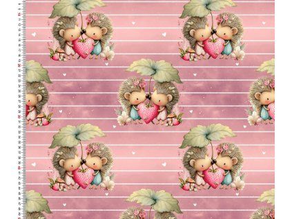 Teplákovina ježko s jahodou