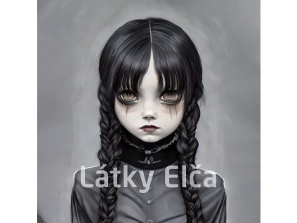 dziewczyna w warkoczach