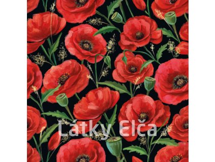 Prázdné 2000 x 2000 (5)