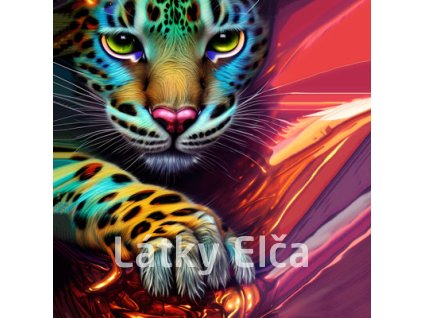 tygrys kolorowy