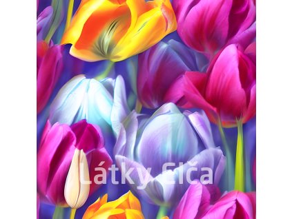 2Jq95dnVfHHmyY5DOj03Vdm4myS2Jq95bbnN6rYGBSSiV3rwROia1x2Jq97KQKkwy0VDC4kECMWdS0lqX