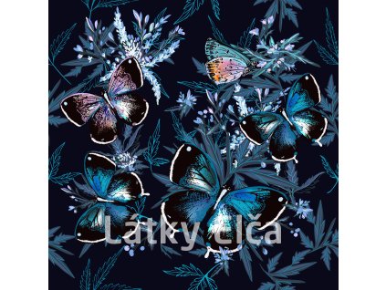 Motýlci na tmavě modré 3000 x 3000