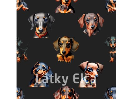 jezevčík 2000x2000