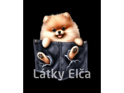 Pomeranian