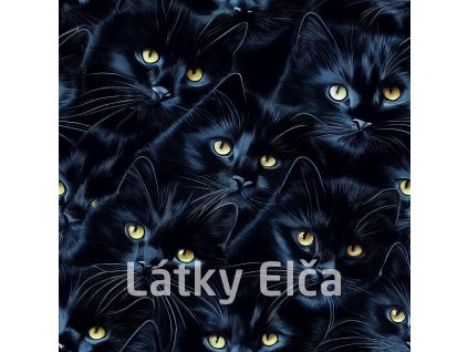 shutterstock 2205297957