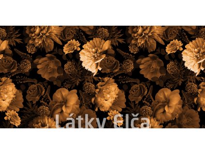 shutterstock 2037385568