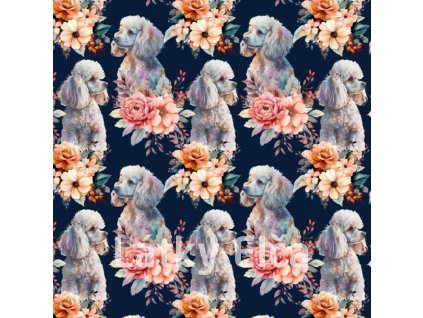 Snímek obrazovky 2024 02 20 081401