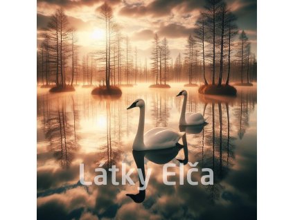 Panel kočárkovina - labutě