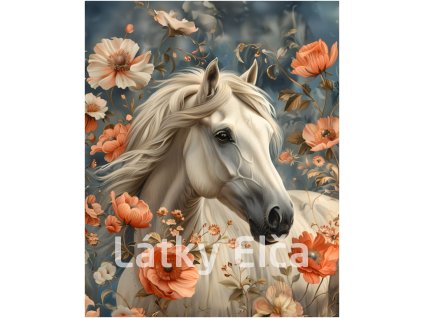 Snímek obrazovky 2024 05 31 085407