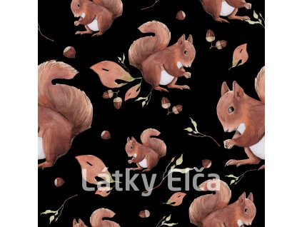 veverky hnědé