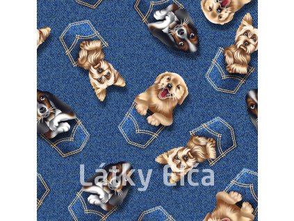 shutterstock 2002646639