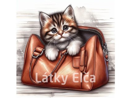 kočka v tašce 1