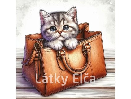 kočka v tašce 3