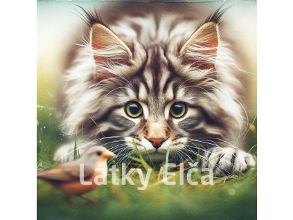 kočka a pták 1