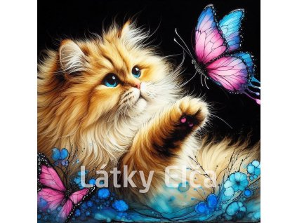 kočka a motýl 2