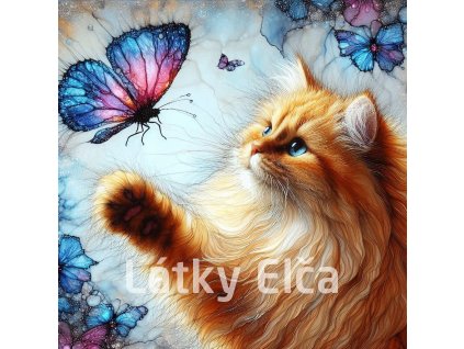 kočka a motýl 4