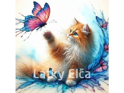 kočka a motýl 5