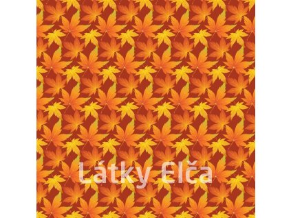 Kaštanové listí 2