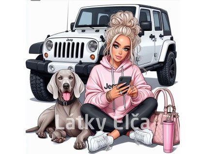 dáma a pes u auta 2