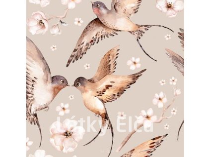 2383 kocarkovina ptaci na bezove