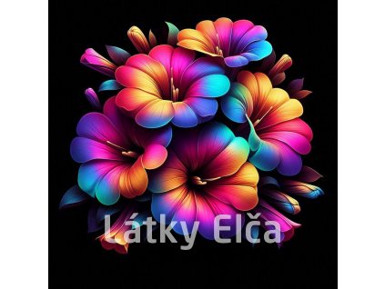 květy barevné 2