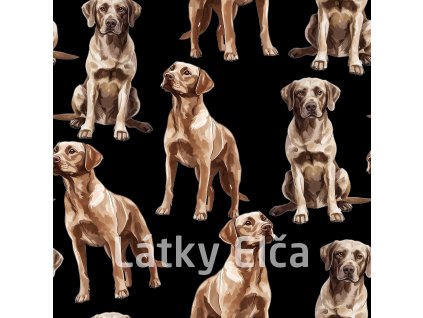 Labradors Pattern