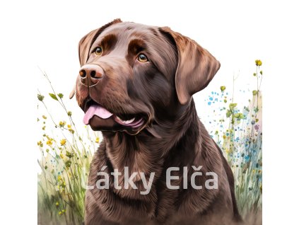 95 26 brown labrador by clipArtem
