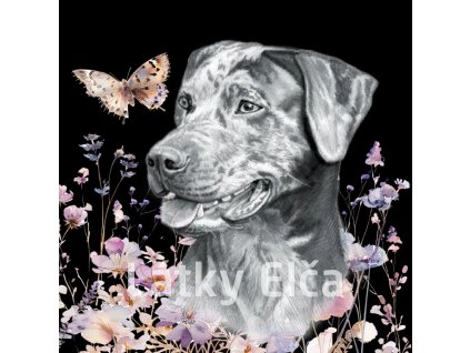 Prázdné 2000 x 2000 (2)