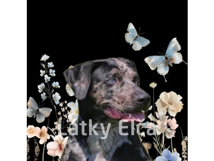 Prázdné 2000 x 2000 (3)