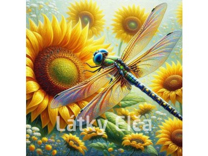 Panel slunečnice a vážka